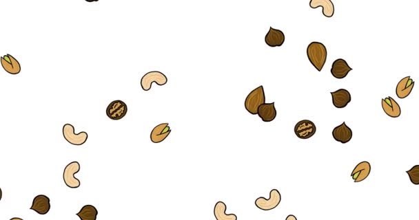 Walnuts Cashew Nuts Pistachios Hazelnuts Almonds Falling White Background Cartoon — Stock Video