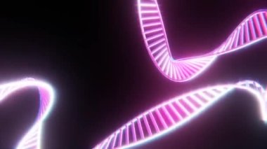 DNA genom dizisi yapısı animasyonu. Pembe DNA ikiz vidaları siyah arka planda, 3 boyutlu animasyon.