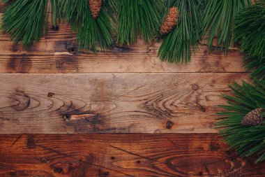 Taze yeşil çam ağacı dalları ve ahşap arka planda köknar kozalakları, üst manzara, kopyalama alanı. Noel çerçeveli arka plan, yeni yıl kartı 