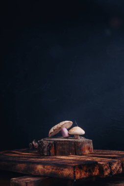 Kesik ağaç tezgahının üzerinde duran tricholoma mantarlarını kes, ahşap arka plan. Güzel taze orman mantarı stüdyo dikey çekimini kapat, boşluğu kopyala