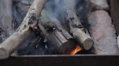 Soft focused close up shot of dry tree branch burning in bonfire with lot of smoke