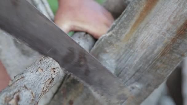 Close Shot Handsaw Sawing Dry Tree Branch Hard Work Carpenter — Stockvideo