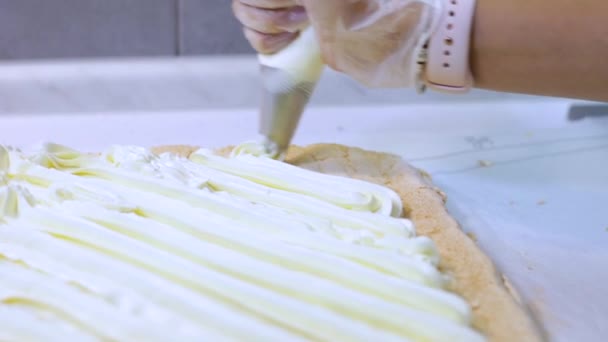 Female Hands Squeezing Cream Pastry Bag Meringue Sheet Making Meringue — Stock Video