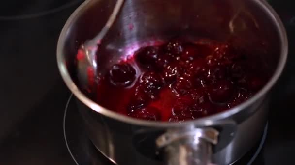 Making Jam Sugar Berries Being Mixed Spoon Saucepot Stove Seasonal — Stock Video