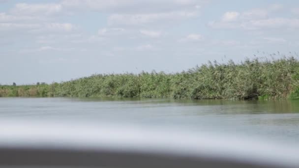 Vacker Utsikt Över Floden Och Grön Natur Med Blå Himmel — Stockvideo