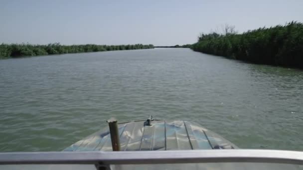 Beautiful View River Green Nature Blue Sky Motor Boat Seat — Stock Video