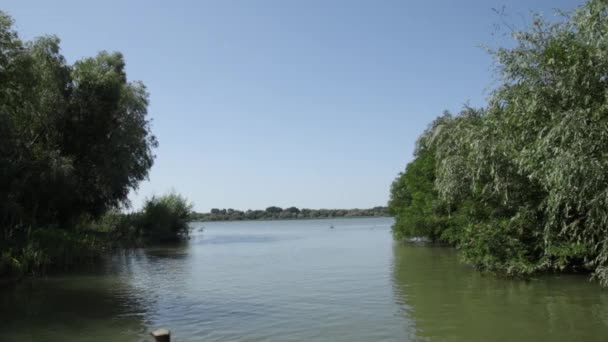 Hermosa Vista Sobre Río Naturaleza Verde Con Cielo Azul Desde — Vídeos de Stock