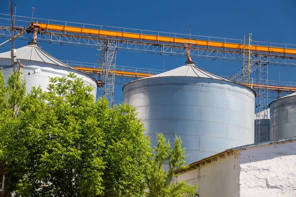 Granary elevator, Ukrainian grain storage on blue sky and green trees background. International wheat, seed and corn supplier. War 2022 in Ukraine