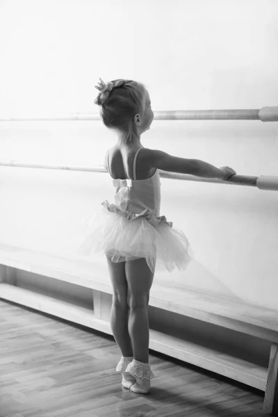 Las Muchachas Las Bailarinas Jóvenes Los Vestidos Rosados Sobre Fondo — Foto de Stock