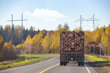 Sonbahar manzarası, üzerinde kütük yüklü bir arabanın sürdüğü asfalt bir yol.