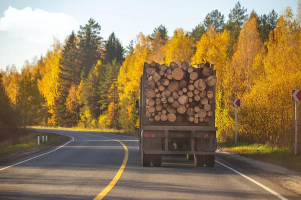 autumn landscape with an asphalt road on which a car loaded with logs is driving