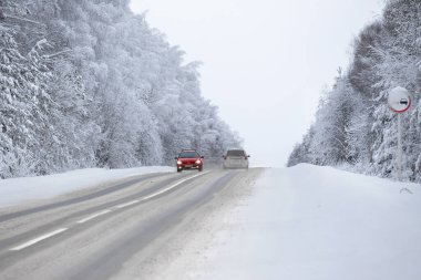 Kardan sonra kış kozalaklı orman, soğuk gün, manzara