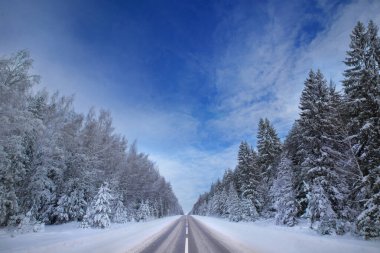 Kardan sonra kış kozalaklı orman, soğuk gün, manzara