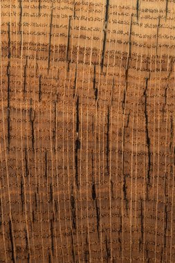 handmade table made of natural elm wood, isolated on a white background