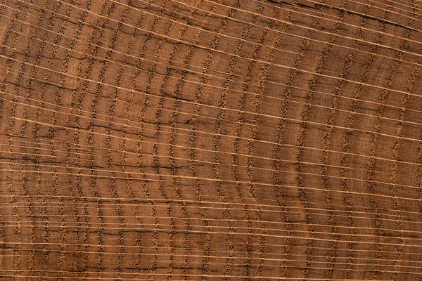 Handmade Table Made Natural Elm Wood Isolated White Background — Fotografia de Stock