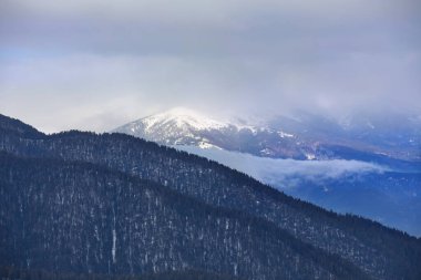 Mavi gökyüzünde kozalaklı ormanları ve bulutları olan karla kaplı dağ zirveleri