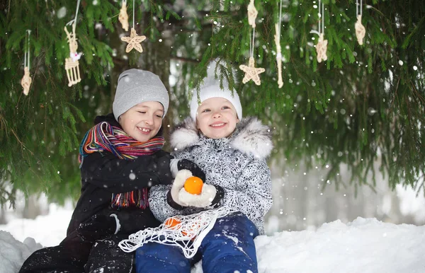 Bambini Fratello Sorella Camminano Inverno Strada Sotto Grande Abete Decorato — Foto Stock