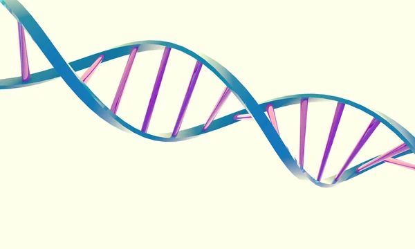 Podwójnej helisy DNA na białym tle Zdjęcia Stockowe bez tantiem
