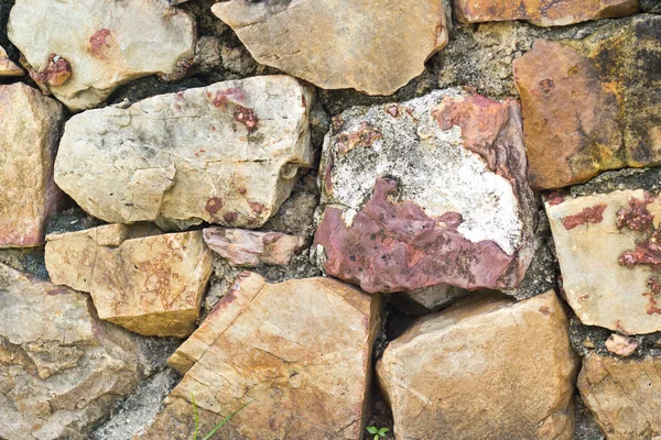 Mur rocheux — Photo