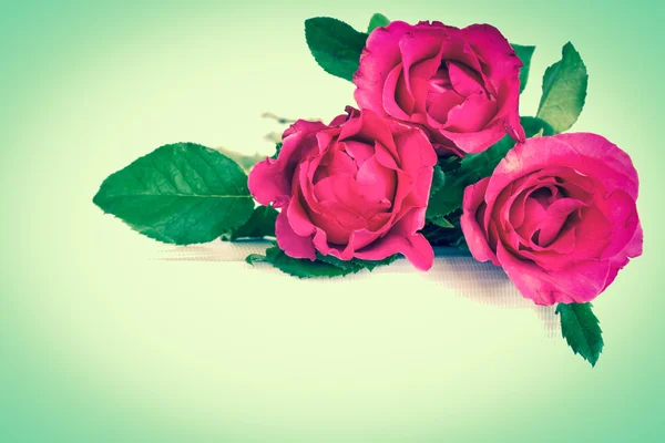 Rose rose dans un style vintage — Photo