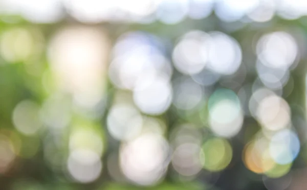 Abstract bokeh blur background — Stock Photo, Image