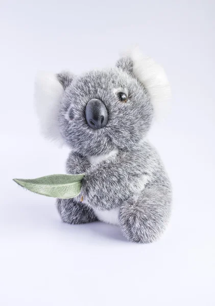 Koala-Puppe — Stockfoto