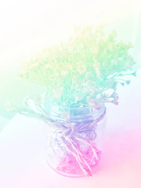 Blur Flower Jar Gradient Sweet Filter Soft Style Background Use — Stock Photo, Image