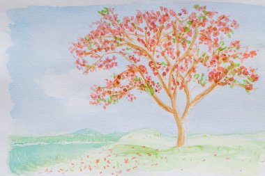 Kırmızı çiçekli büyük ağaç (Flam-boyant, Ateş Ağacı, Kraliyet Poinciana) suluboya