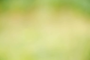 soyut odaklanmış bulanık doğa arkaplanı