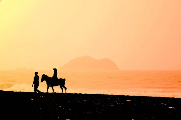 Silhouette Papa Spaziert Mit Tochter Pferd Strand — Stockfoto