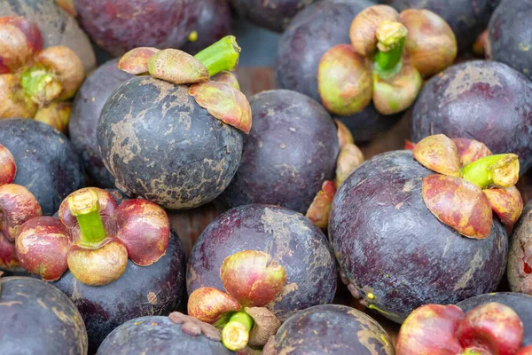 Hög Med Lila Mangostan — Stockfoto