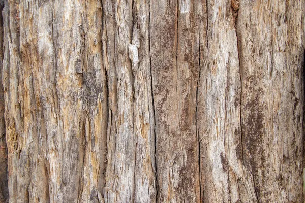 Alte Rustikale Holz Hintergrund Textur — Stockfoto