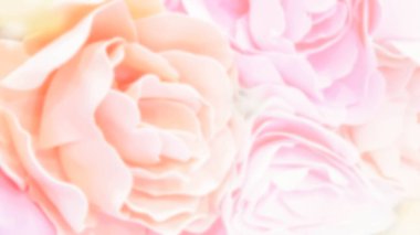 Arkaplan kullanımı için bulanık çiçekler