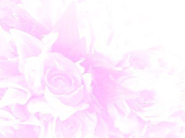 Bulanık kumaş pembe gül arkaplanı