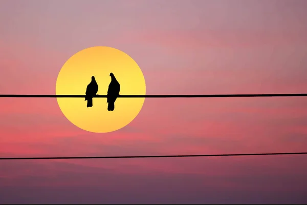 Silhouette Von Zwei Vögeln Auf Draht Mit Mond Und Rotem — Stockfoto