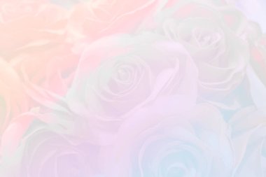 tek boynuzlu at renk çiçeğinin arkaplanı