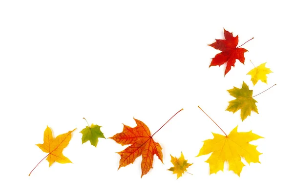 Podzimní Listí Padající Bílé Pozadí Pestrobarevné Javorové Listy — Stock fotografie