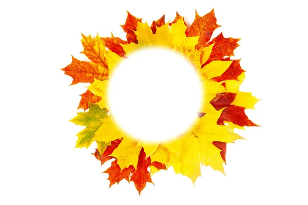 Rám Podzimního Javorového Listí Bílém Pozadí Karta Barevnými Podzimními Listy — Stock fotografie