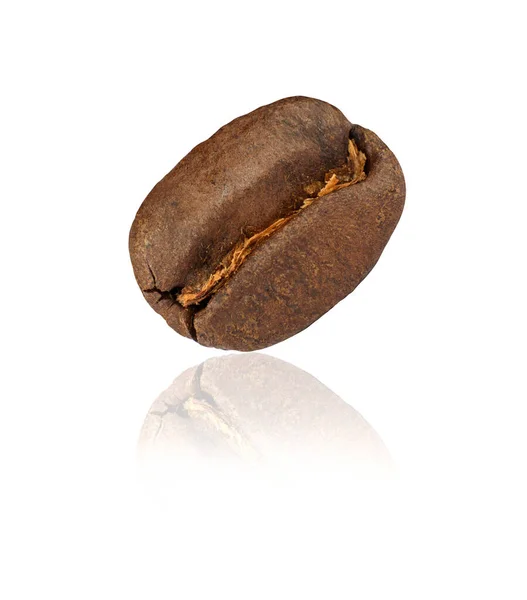 Kávé Gabona Elszigetelt Fehér Háttér Közelkép Friss Pörkölt Kávé — Stock Fotó