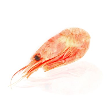 Karidesler beyaz arkaplanda izole edilmiş ve yakın plan yansıması var.