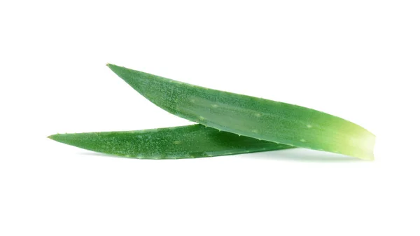 Duas Folhas Frescas Aloe Vera Isoladas Sobre Fundo Branco — Fotografia de Stock
