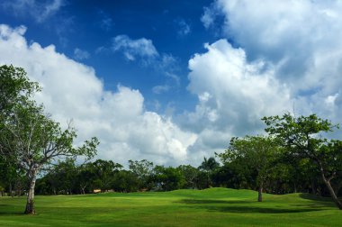 Golf Sahası tropik cenneti