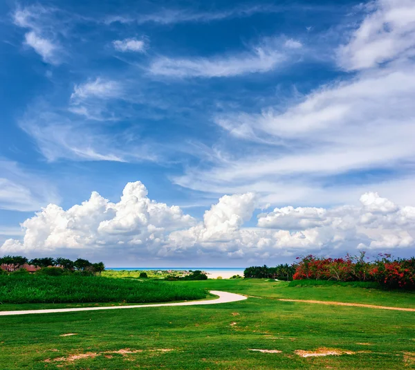 Green grass field landscape — Stock Photo, Image