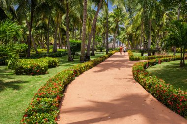 tropikal park