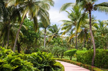 tropikal park