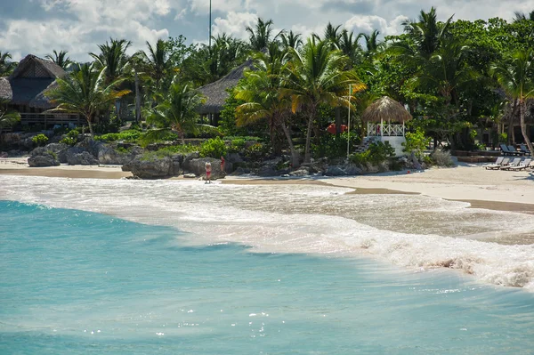 Palma e spiaggia tropicale nel paradiso tropicale — Foto Stock