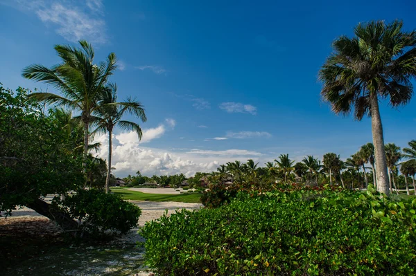 Entspannung am abgelegenen paradiesischen Strand — Stockfoto