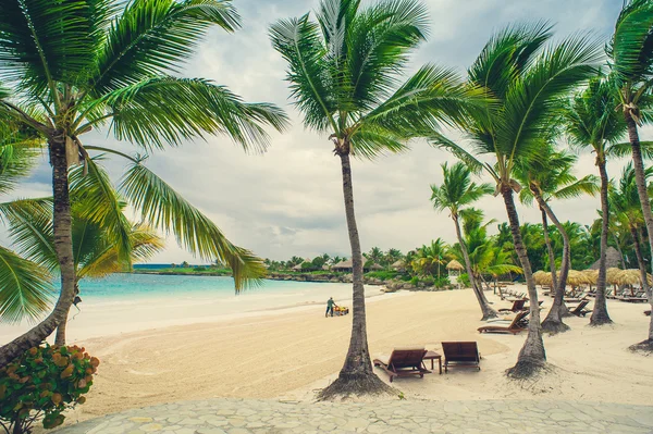 パームビーチと熱帯ビーチ — ストック写真