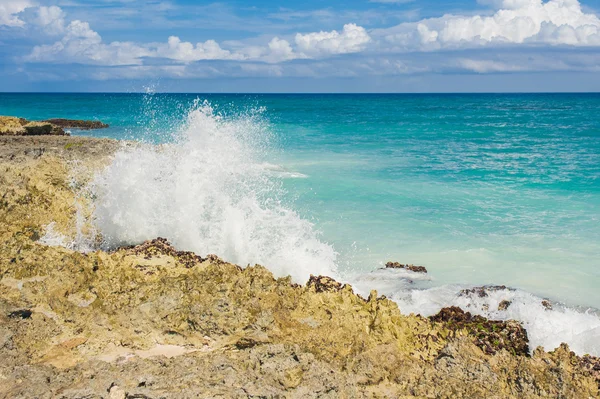 Tropisch strand — Stockfoto