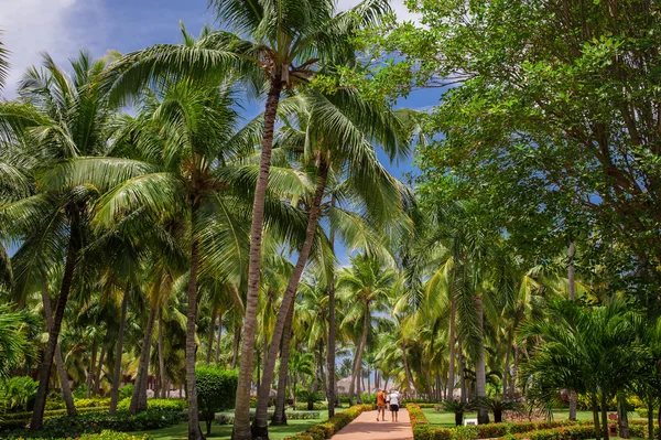 Tropical park — Stock Photo, Image